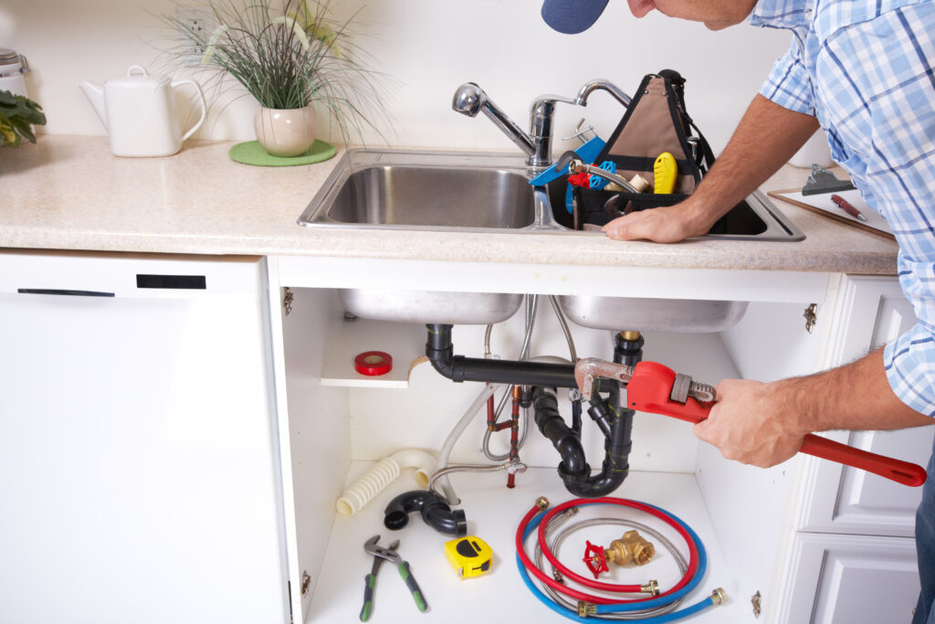 Professional Plumber Near You